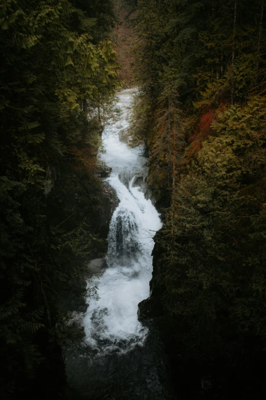 an aerial po of water cascading in between several trees