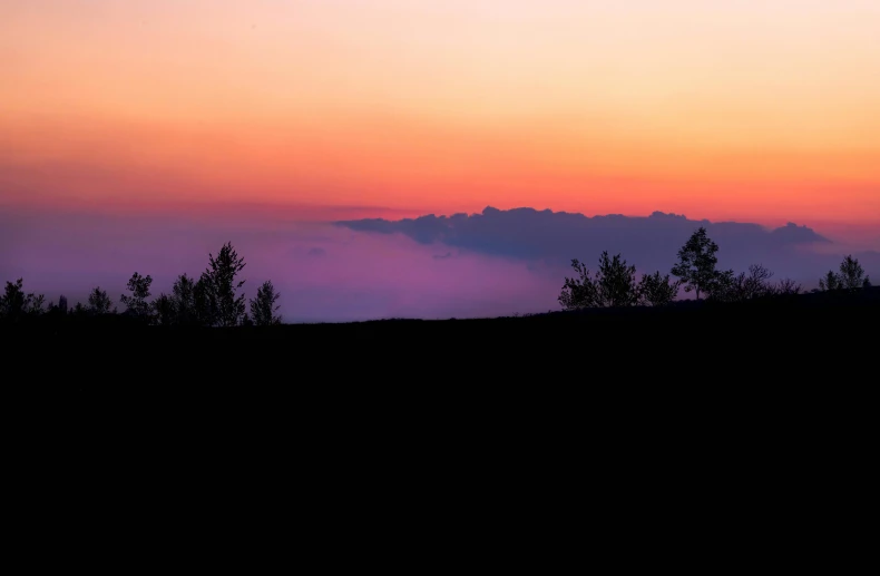 the silhouette of some trees in the distance at sunrise