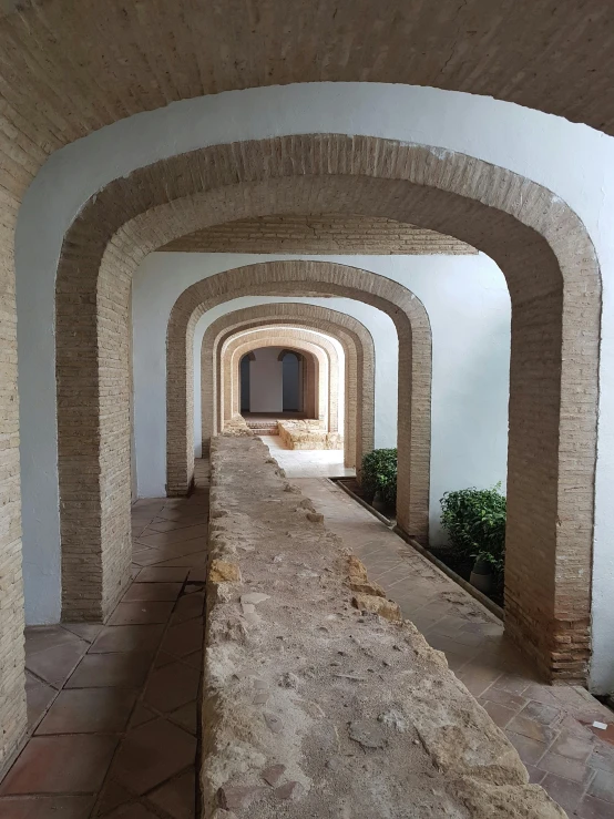 several archways and plants are growing along the pathway