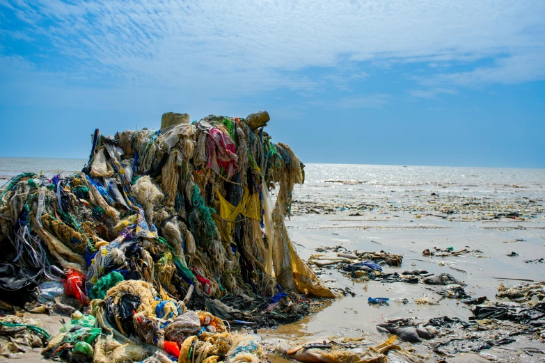 there are lots of bags on the beach