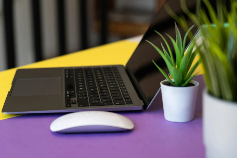 a laptop and computer mouse are on the table