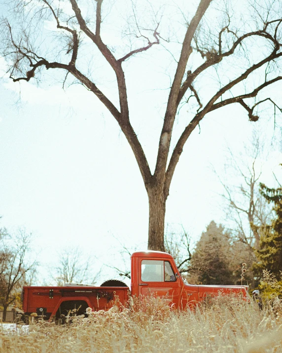 an old red truck sits next to a tree