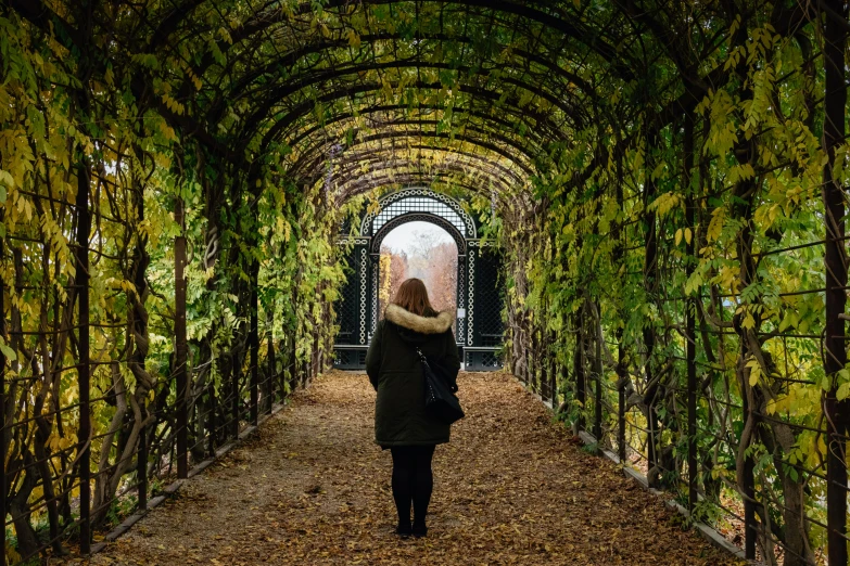 a person walking down an archway filled with green plants