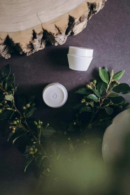 a cup of coffee with a plant near it