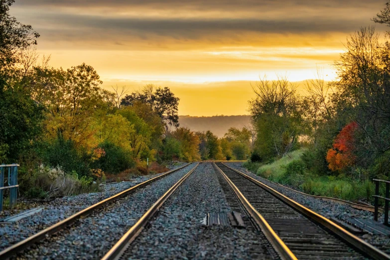 railroad tracks and trees at sunset with sky in background