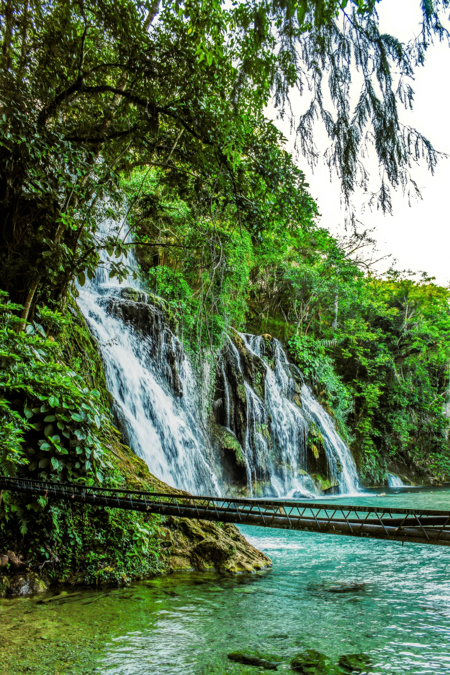 there is a large waterfall by the trees