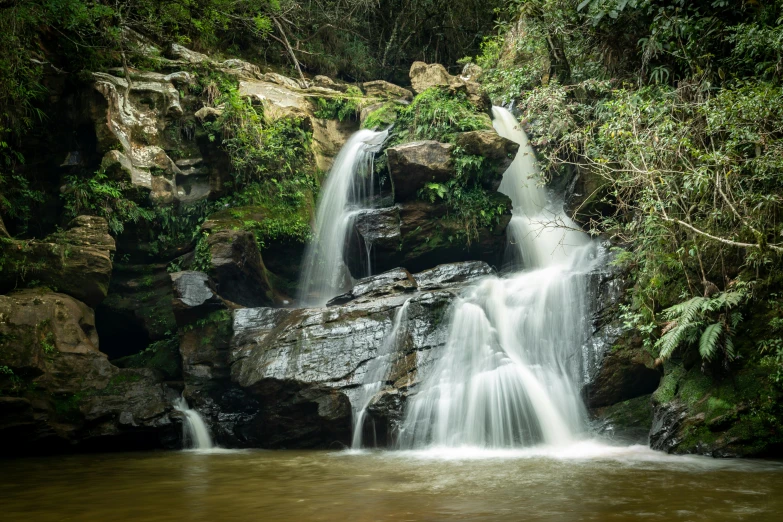 some water is falling off of a rock in some bushes