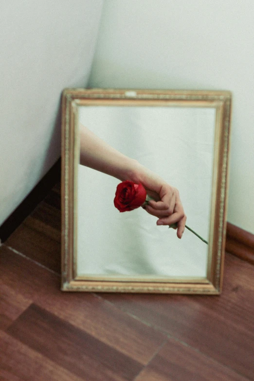 a small wooden frame holding a single red rose