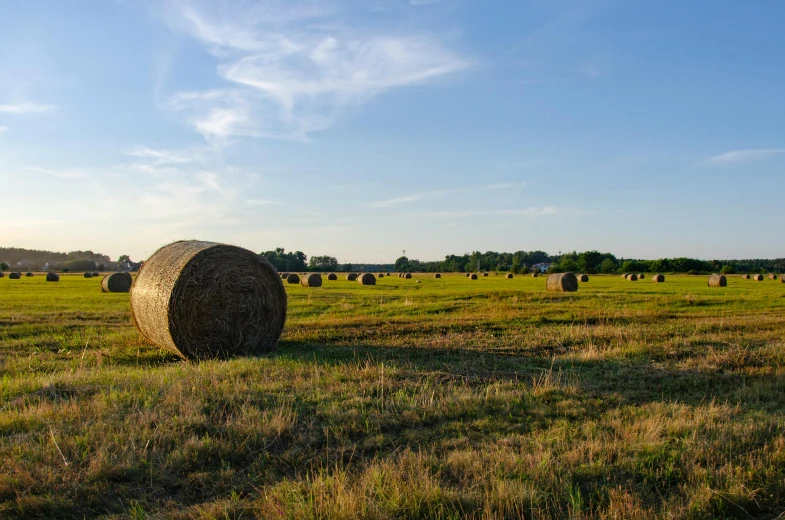 bales of hay in a large open field