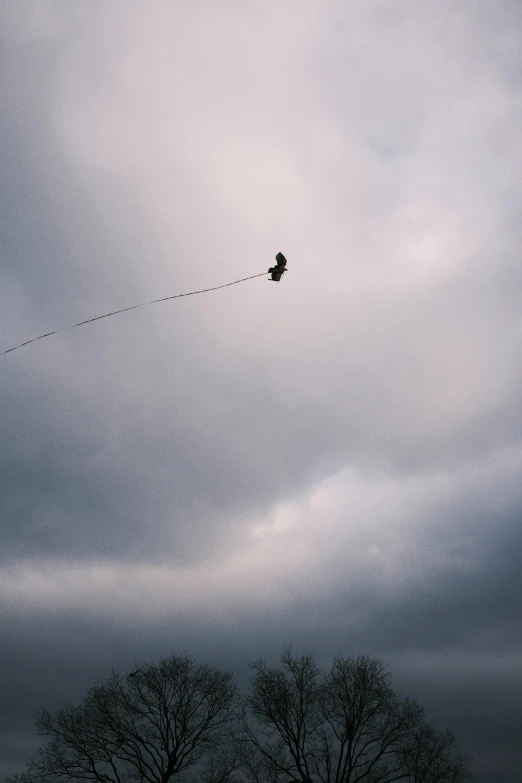 the sky with clouds and a single kite in the air