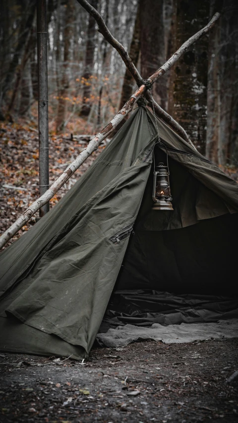 a small canvas shelter in a forest near trees