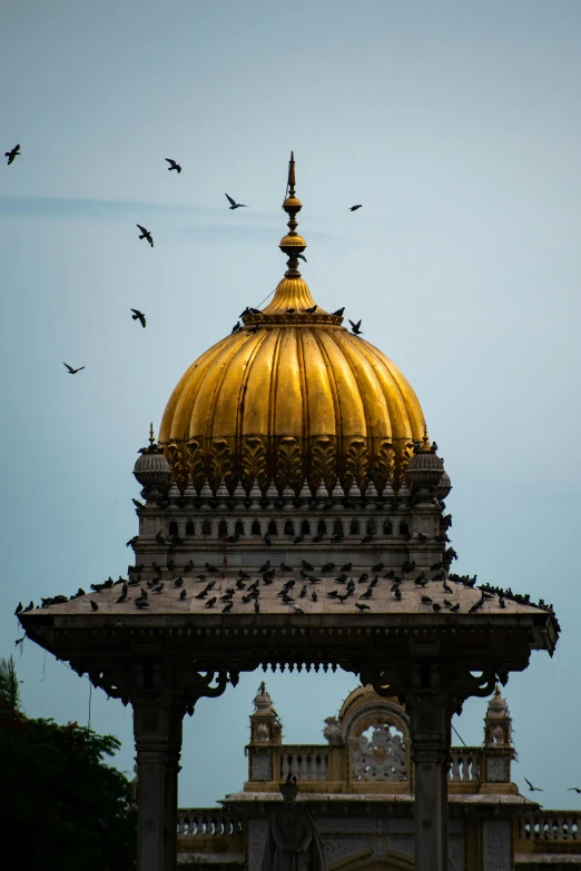 many birds are flying around on top of a building