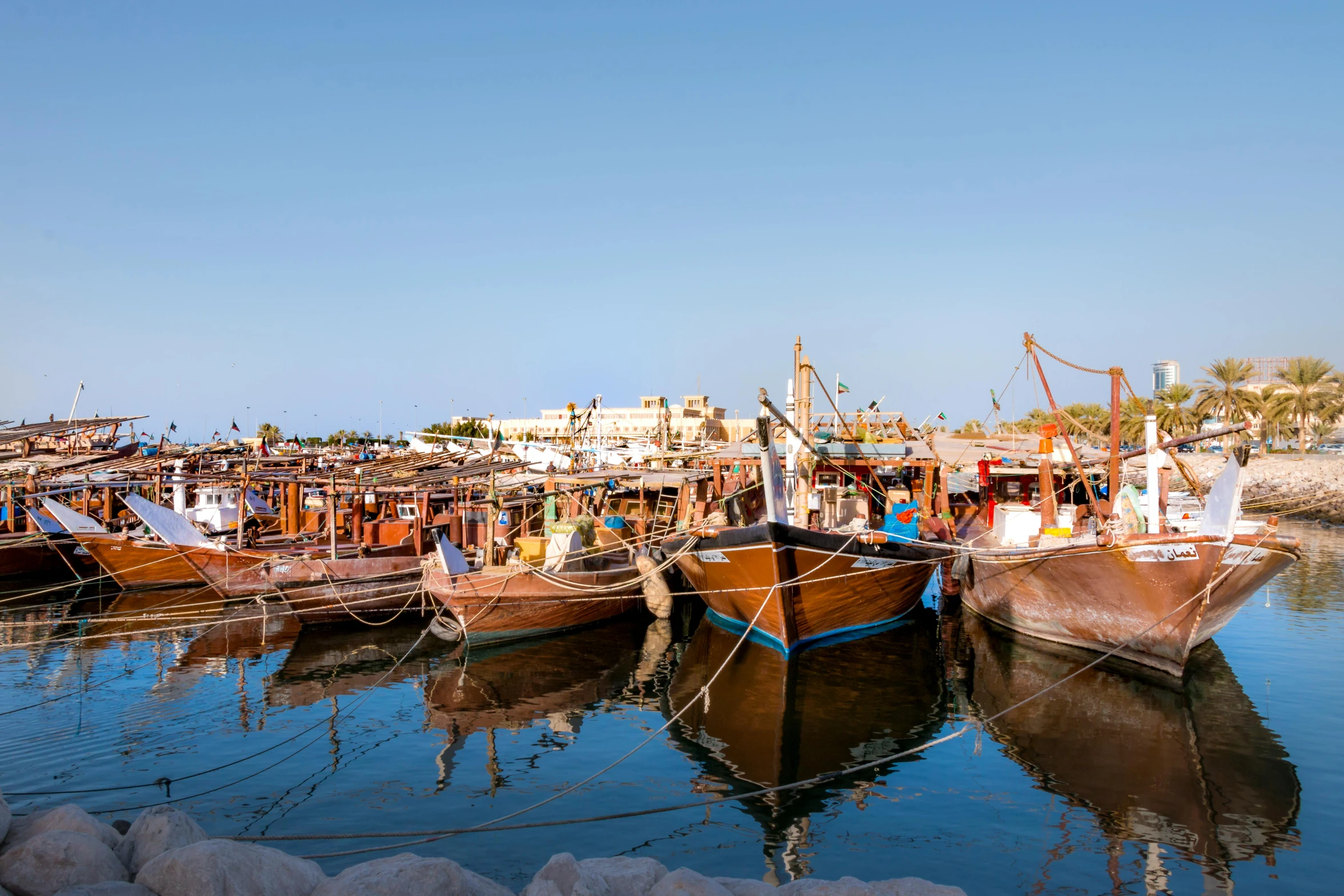 many boats are parked in a harbor by the shore