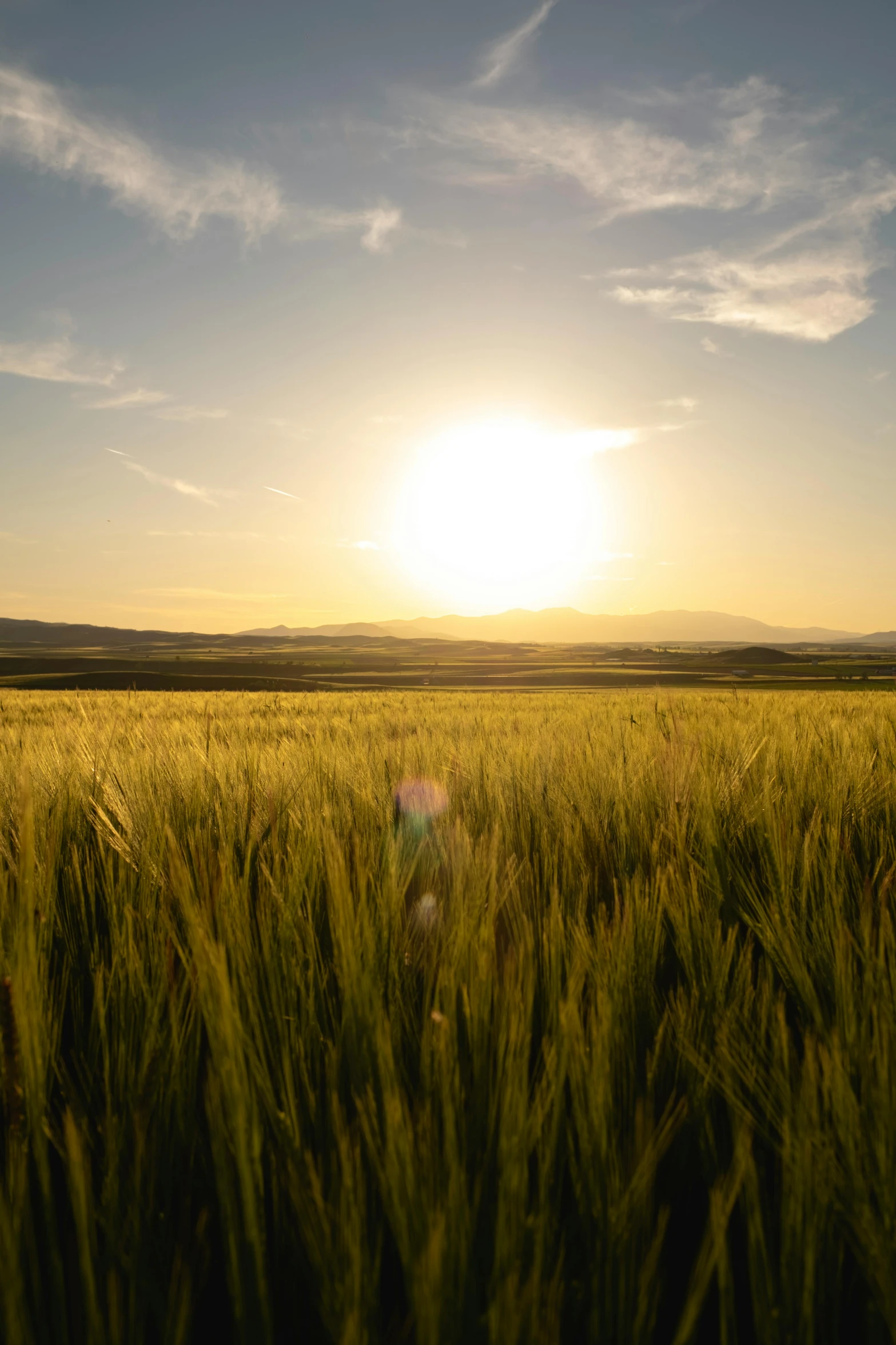 an open field with a bright sun going down