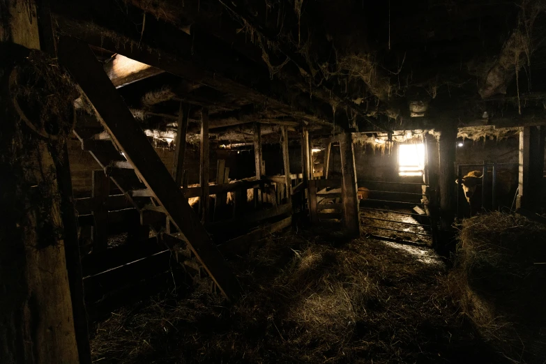 a cabin in the woods at night with some stairs to it