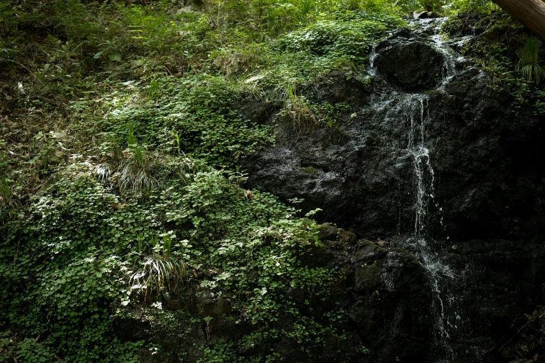 a large water fall surrounded by trees and shrubs