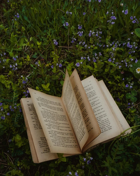 a book lying on its side in the middle of a field with flowers