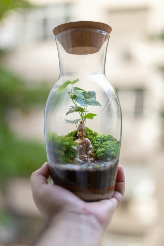 someone is holding up a tiny vase with plants inside