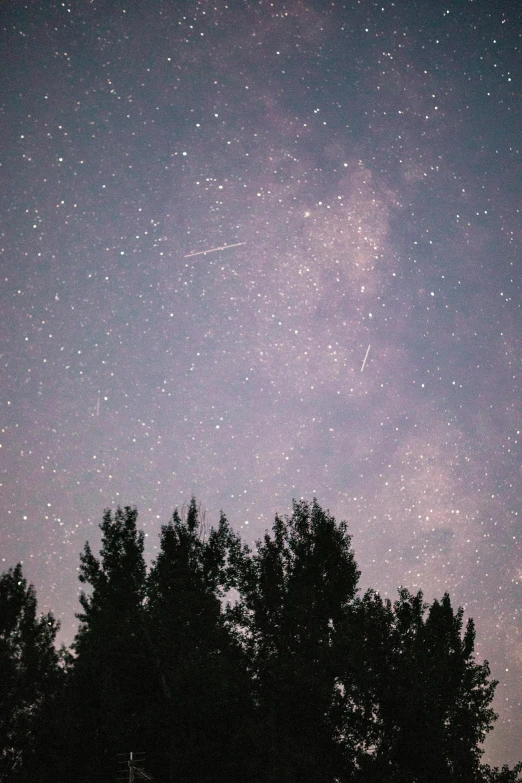 the night sky and some trees are in silhouette