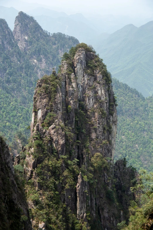 some big mountains with lots of trees in them