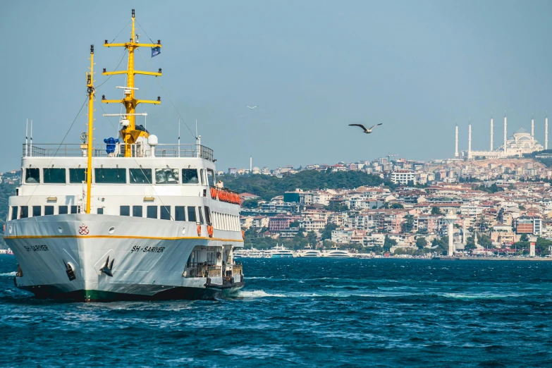 the ocean liner with two seagulls flying overhead