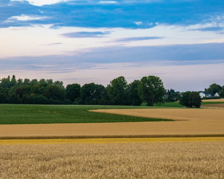 the view across the field from an outside