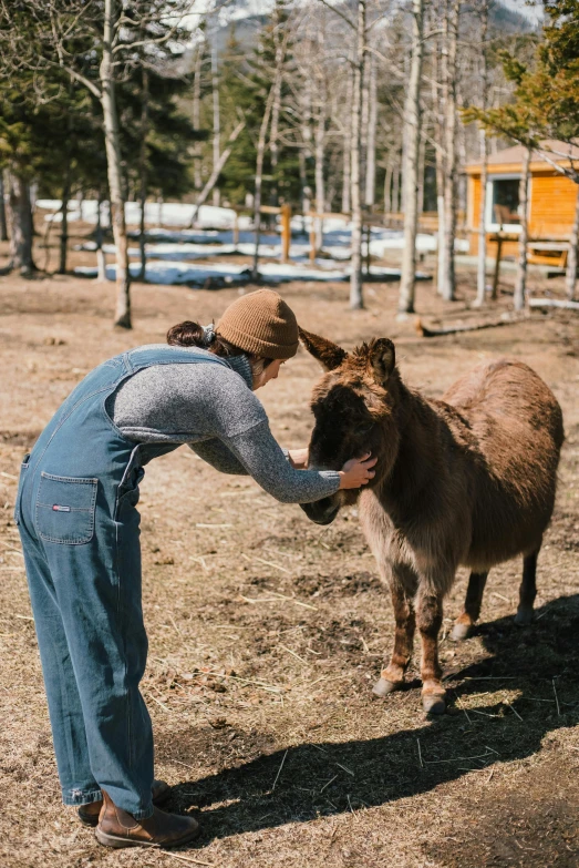 a woman in overalls is feeding a donkey