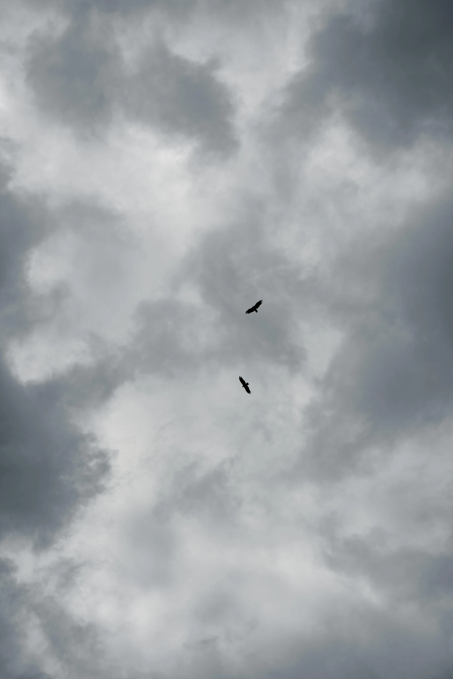 a couple of birds are flying through some dark clouds