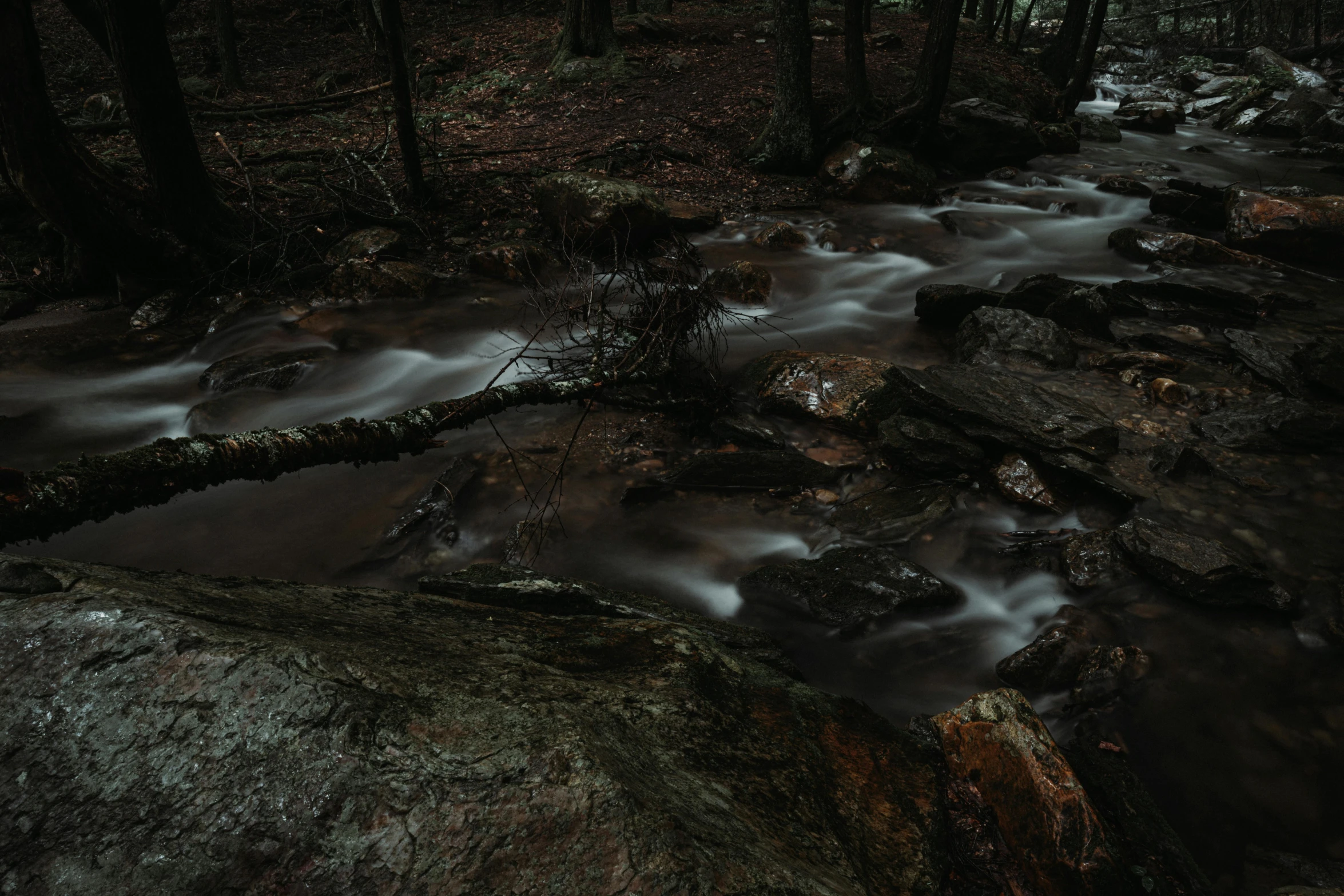 a stream with a rock near by in the woods