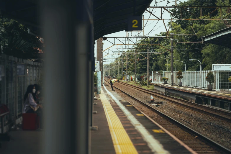 train tracks passing through a green wooded area