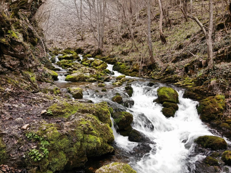 a rocky stream in the woods with green moss