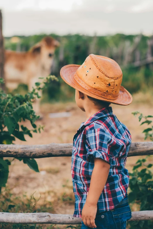 a  with a plaid shirt and hat