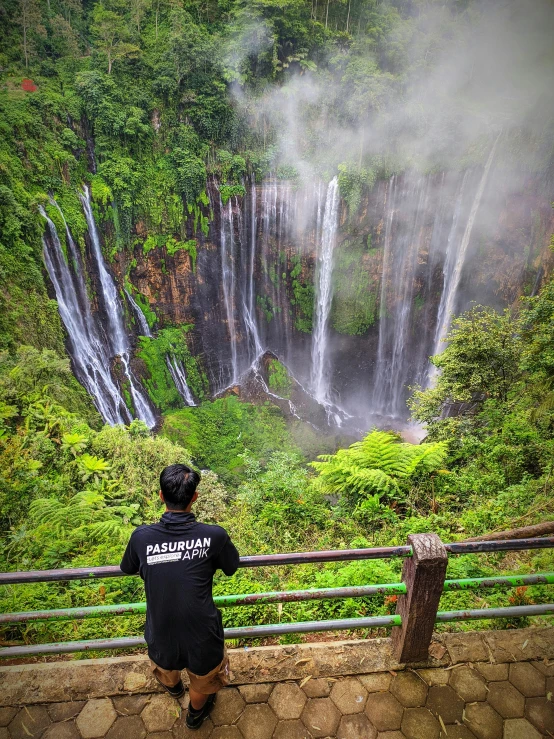 a person looking at a waterfall in the wild