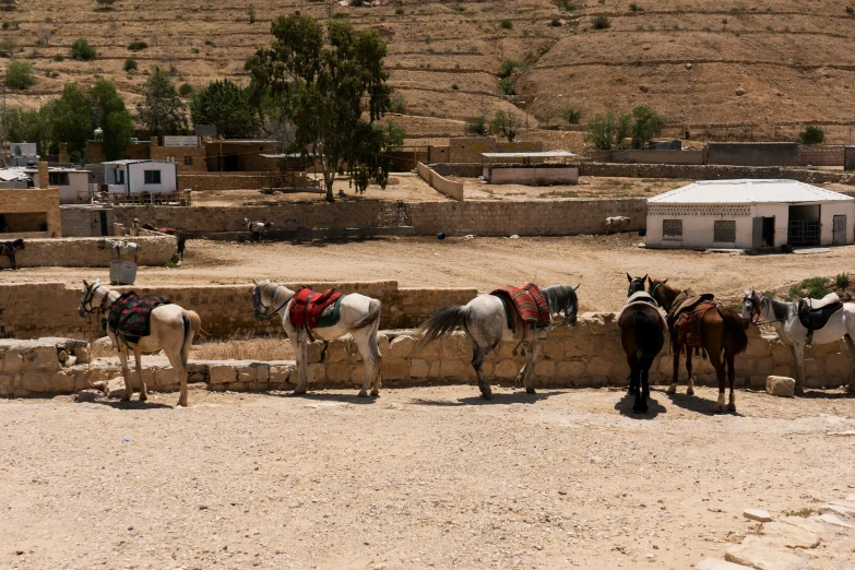 four horses in saddles standing by the wall