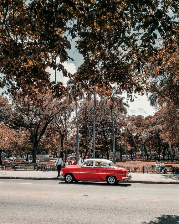 a car with a person standing behind it near the trees