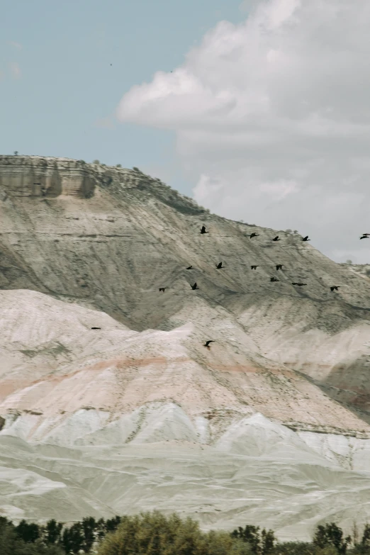 a flock of birds fly over a mountain