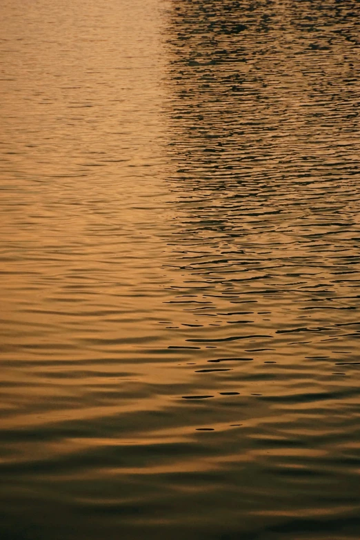 two boats on the water at sunset in the day