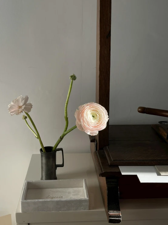 two pink flowers sitting in a vase on a white table