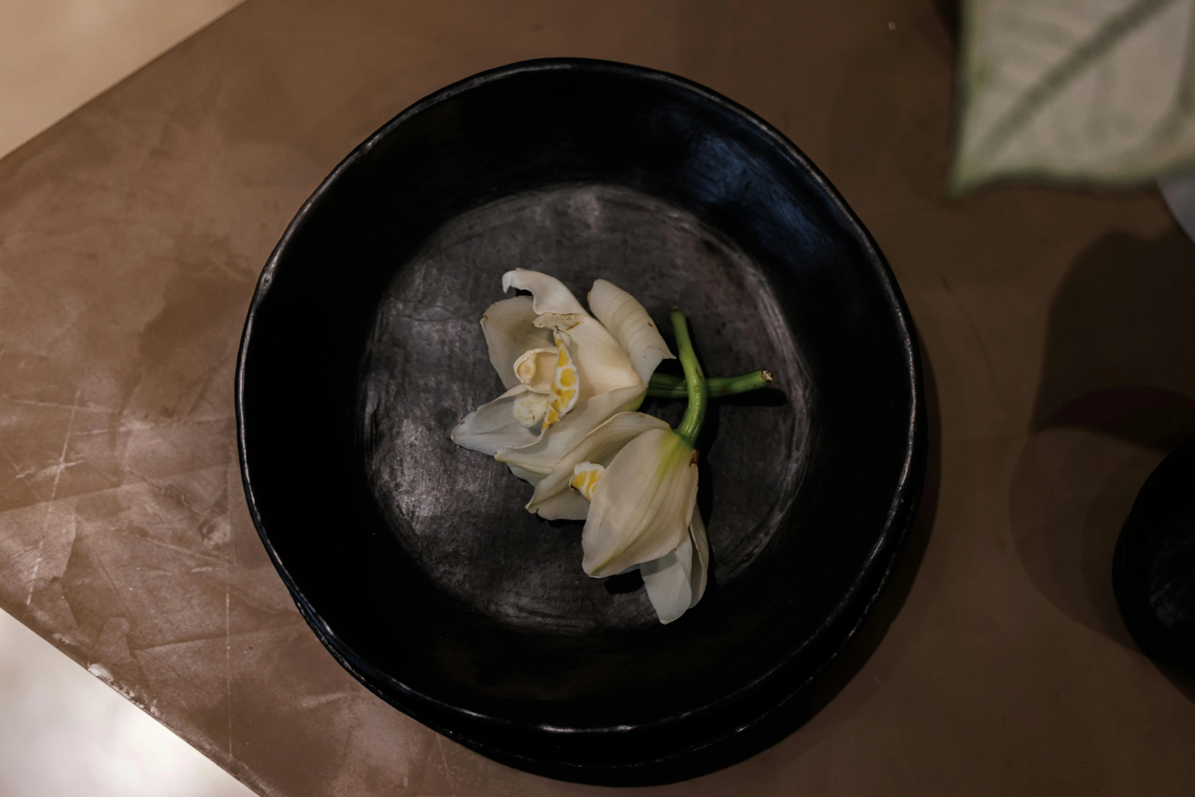 a black bowl with three flowers inside and a white rose in it