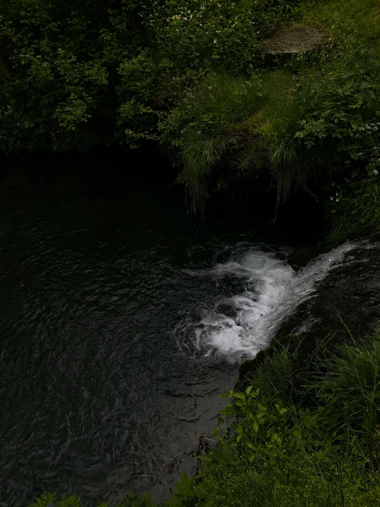 a person is swimming in a stream by some trees