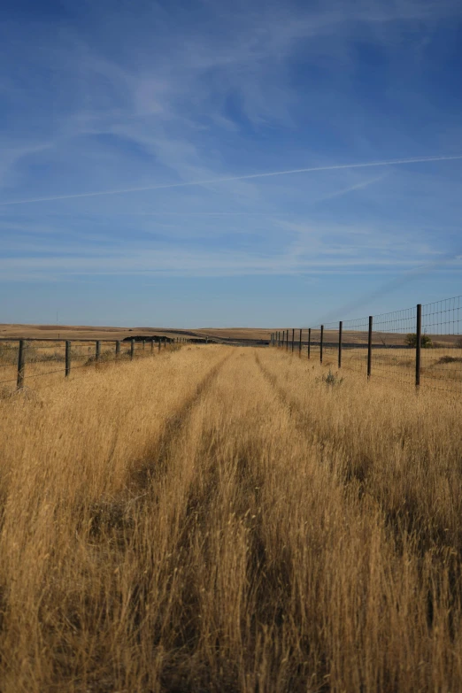 an empty road splits in two by a gate