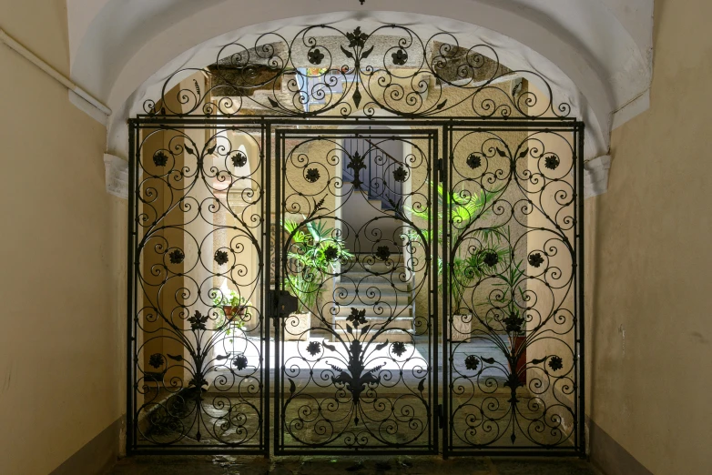 an ornate iron entrance door with arched doorway