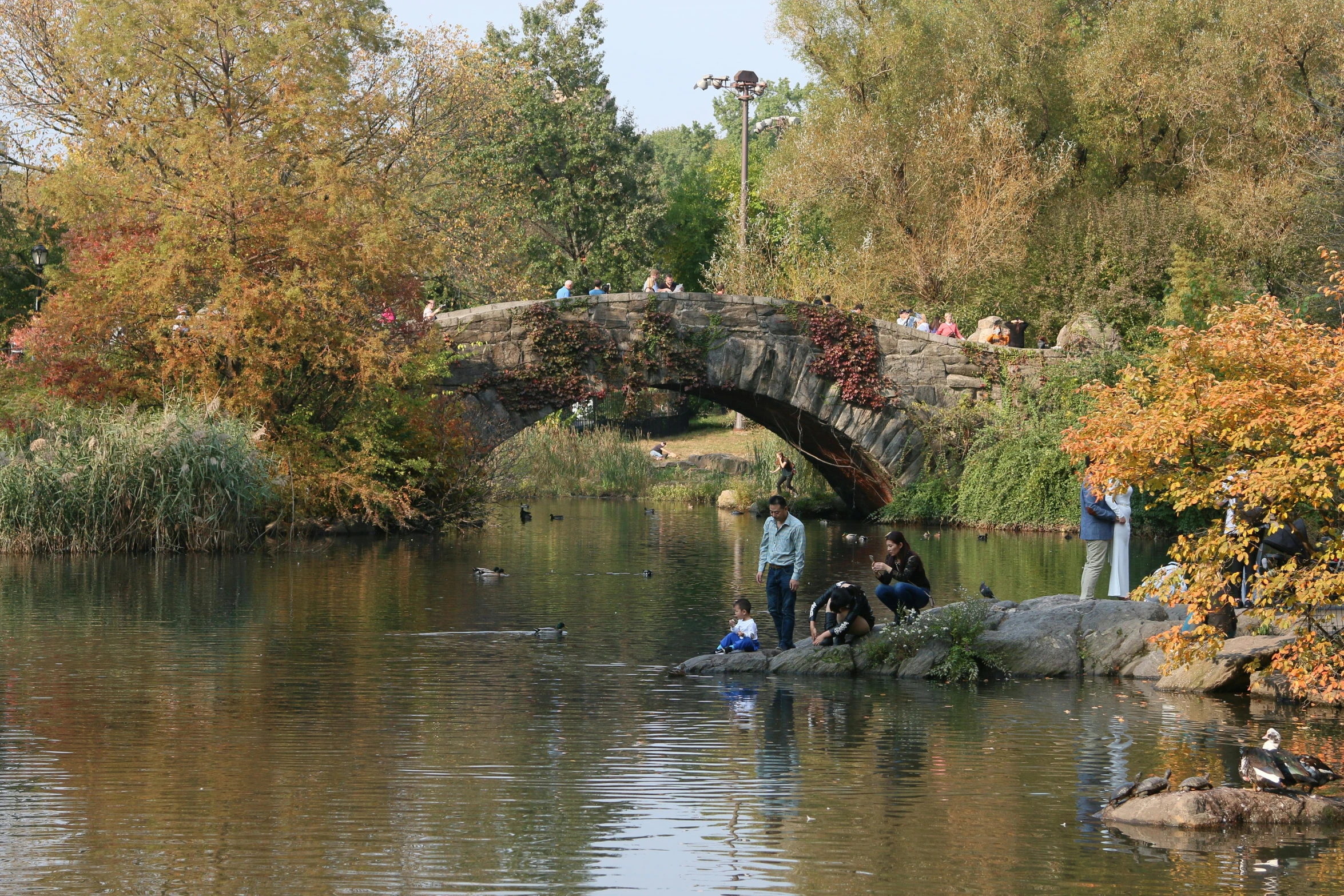 some people fishing in a lake under a bridge