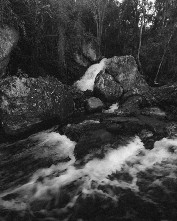 a rocky river running through a forest covered in fog