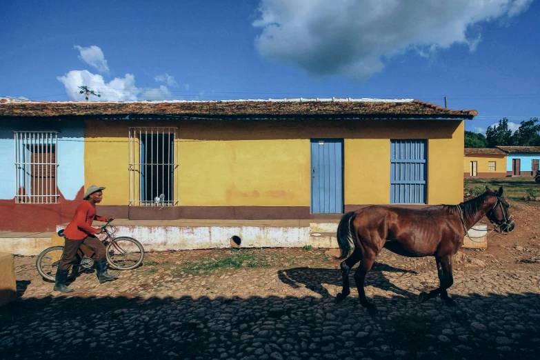 a person riding a bicycle while a horse stands in front of a building