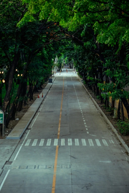 a road that has a yellow line to one side and trees on both sides