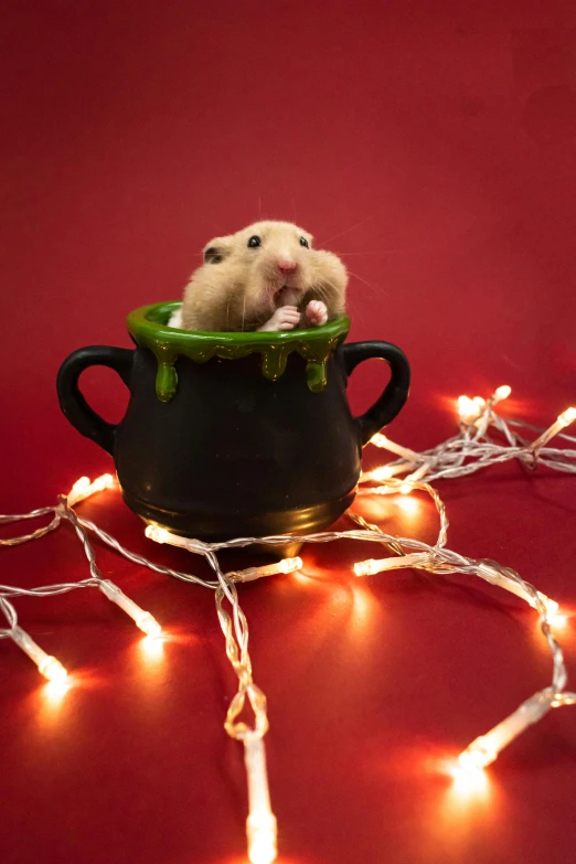 a stuffed animal sits inside a pot on the floor