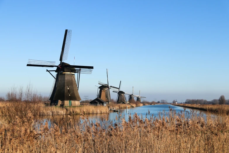 five windmills in a field of dry grass