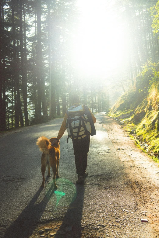 a man is walking down a path with a dog