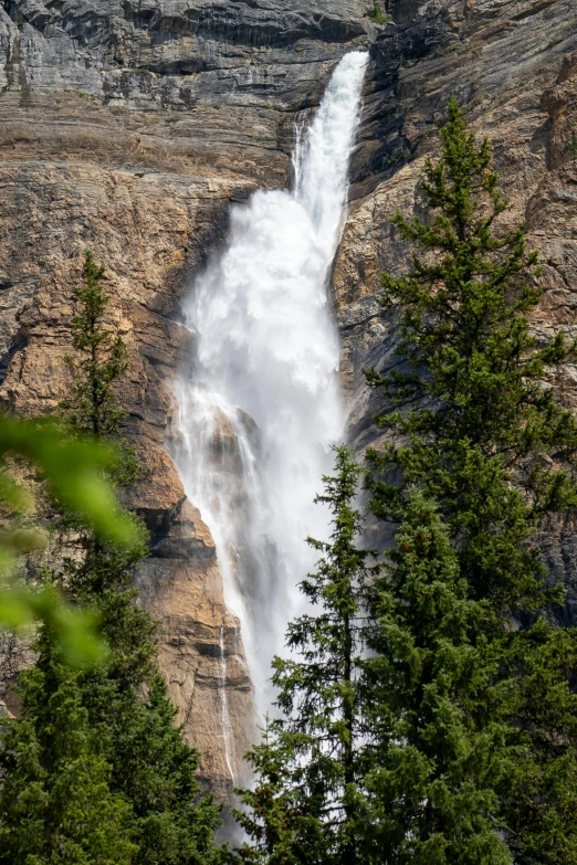 water flowing from a high waterfall in a forested area